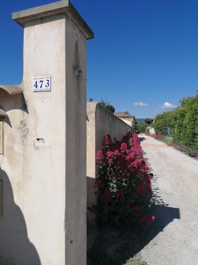A L'Ombre De L'Olivier Leilighet LʼIsle-sur-la-Sorgue Eksteriør bilde